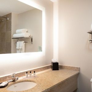 Executive One-Bedroom Tower Suite